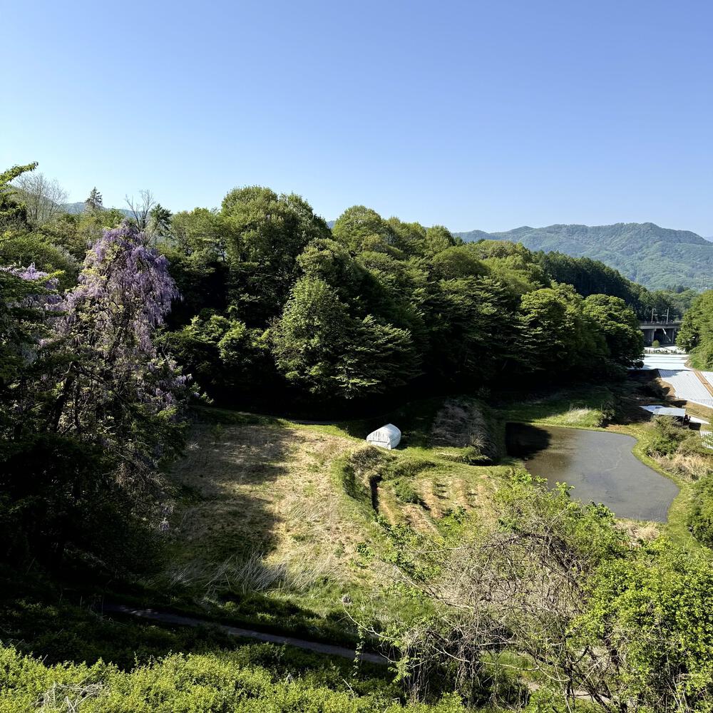信濃追分「コスモス街道の碑」と御影用水（千ケ滝湯川用水温水路）の写真29