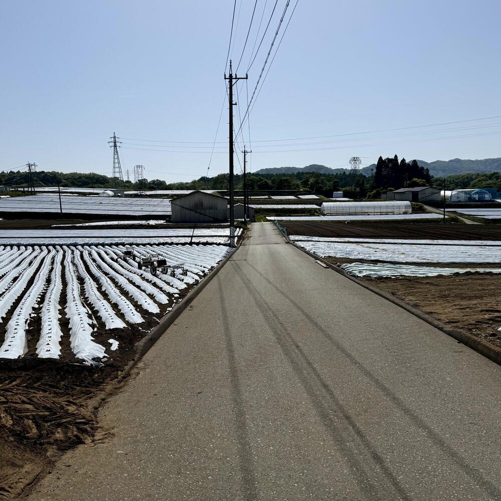 信濃追分「コスモス街道の碑」と御影用水（千ケ滝湯川用水温水路）の写真30