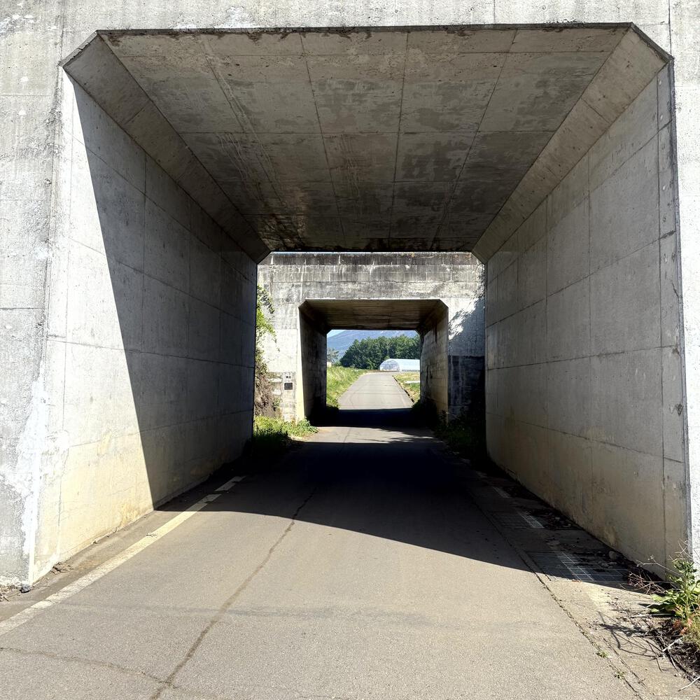 信濃追分「コスモス街道の碑」と御影用水（千ケ滝湯川用水温水路）の写真31