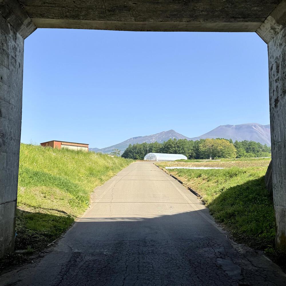 信濃追分「コスモス街道の碑」と御影用水（千ケ滝湯川用水温水路）の写真32