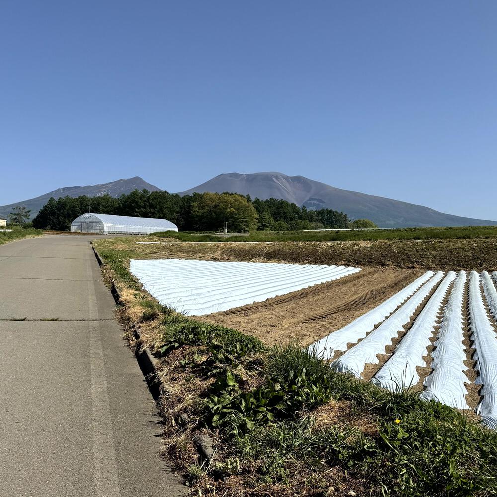 信濃追分「コスモス街道の碑」と御影用水（千ケ滝湯川用水温水路）の写真33
