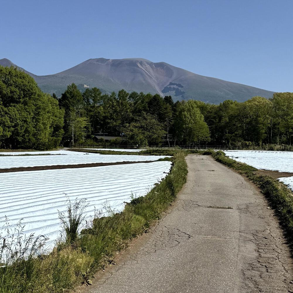 信濃追分「コスモス街道の碑」と御影用水（千ケ滝湯川用水温水路）の写真36