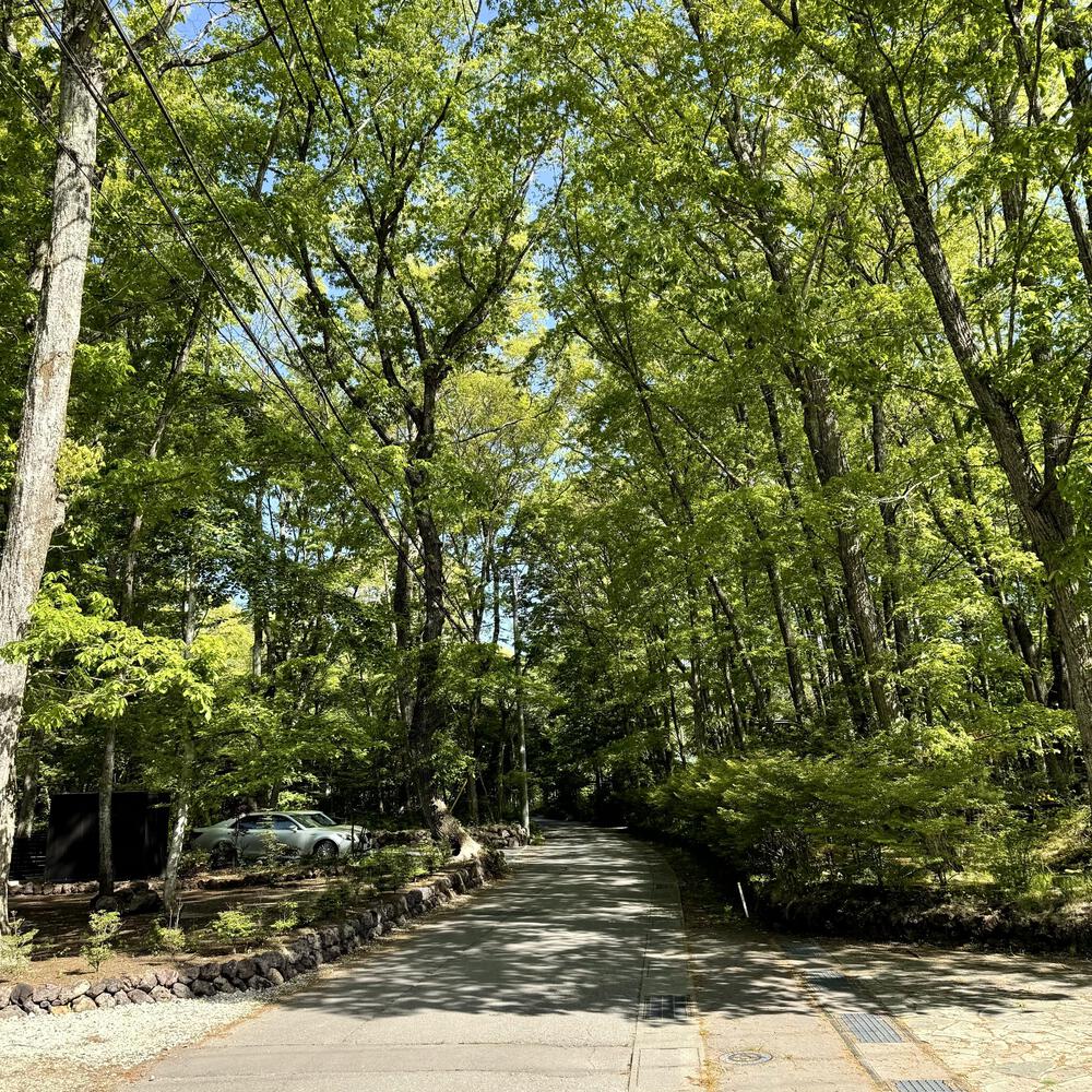 信濃追分「コスモス街道の碑」と御影用水（千ケ滝湯川用水温水路）の写真38
