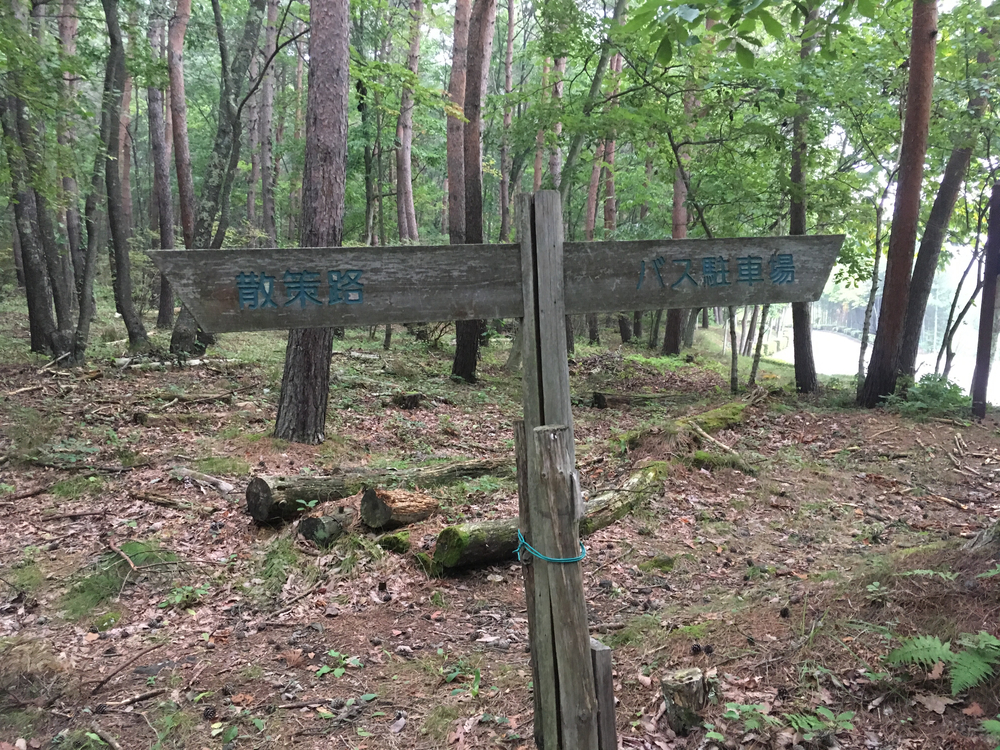 【軽井沢Runtrip】早朝にオススメ！森林浴ラン②の写真3