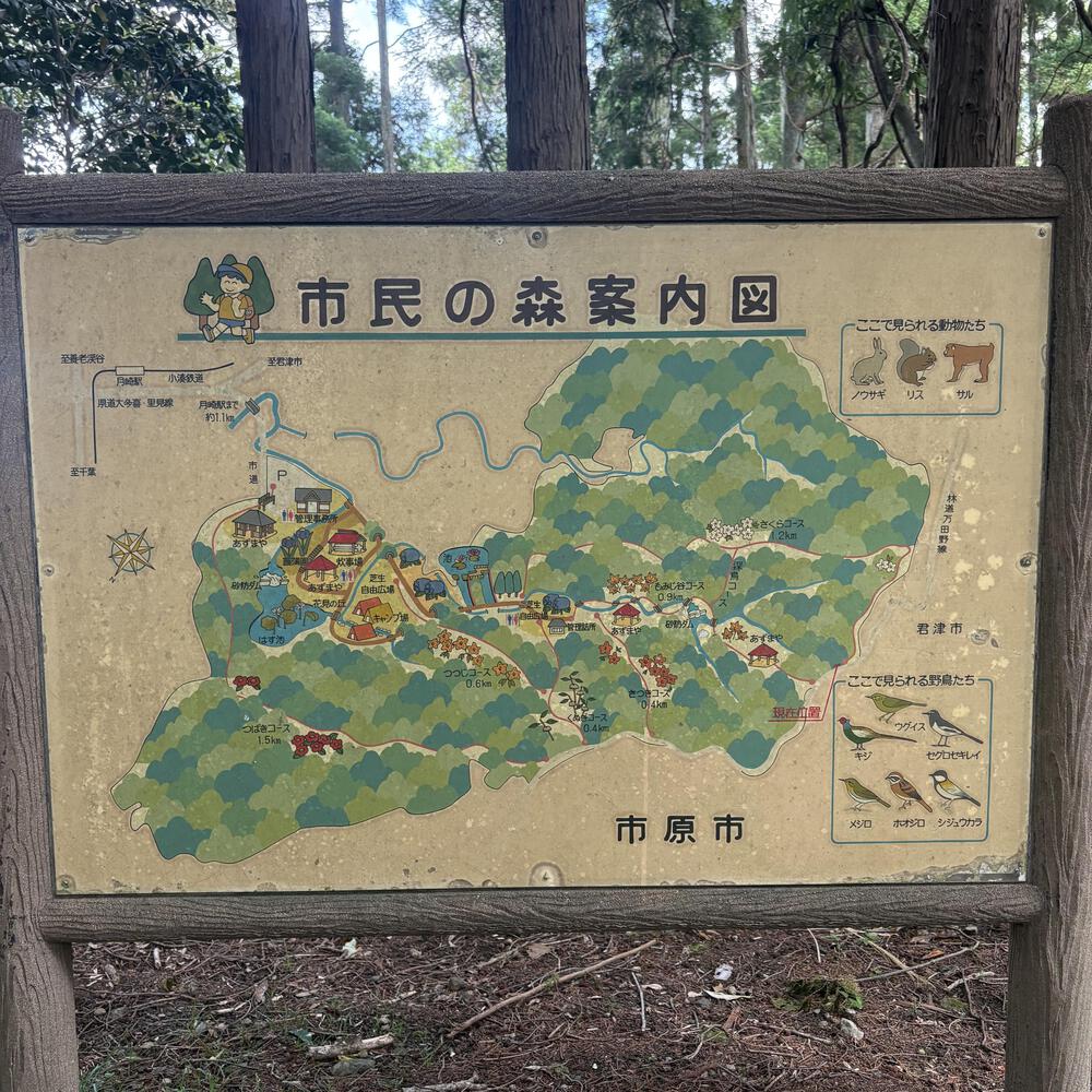 月崎の魅力をギュッと8.5キロに濃縮ランの写真6