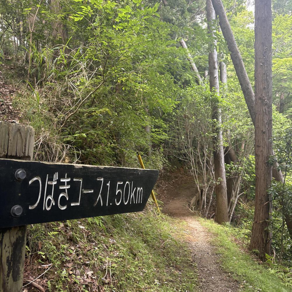 月崎の魅力をギュッと8.5キロに濃縮ランの写真7