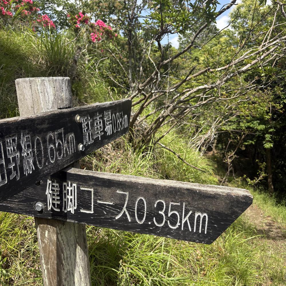月崎の魅力をギュッと8.5キロに濃縮ランの写真9