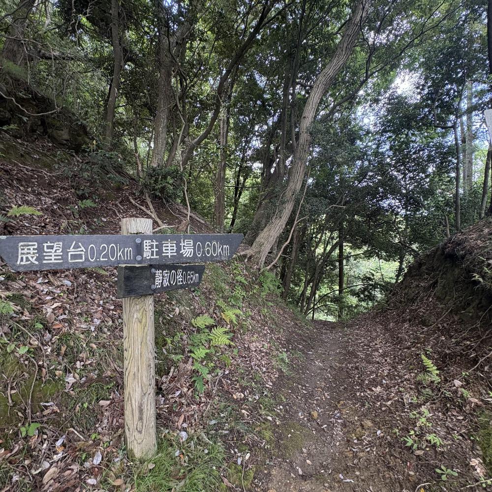 月崎の魅力をギュッと8.5キロに濃縮ランの写真10