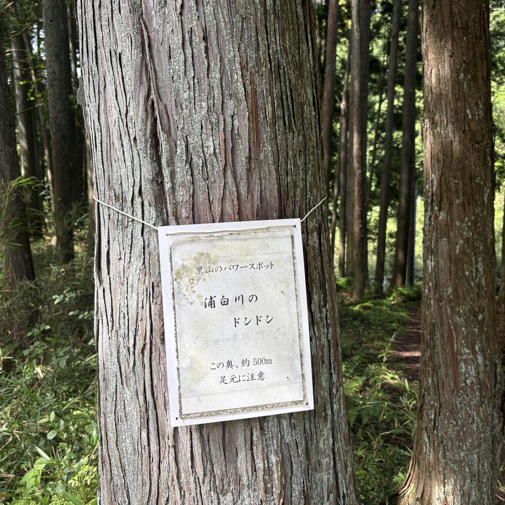 月崎の魅力をギュッと8.5キロに濃縮ランの写真14