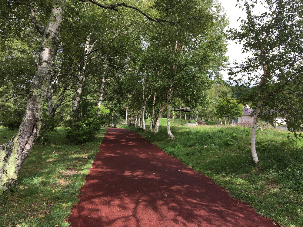 白樺湖周回コースの写真3