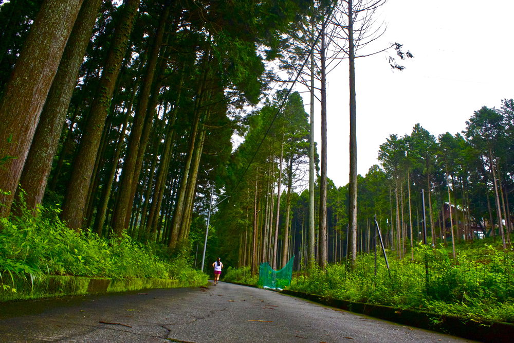秦野の名水・葛葉の泉に水を汲みに行こう！の写真6