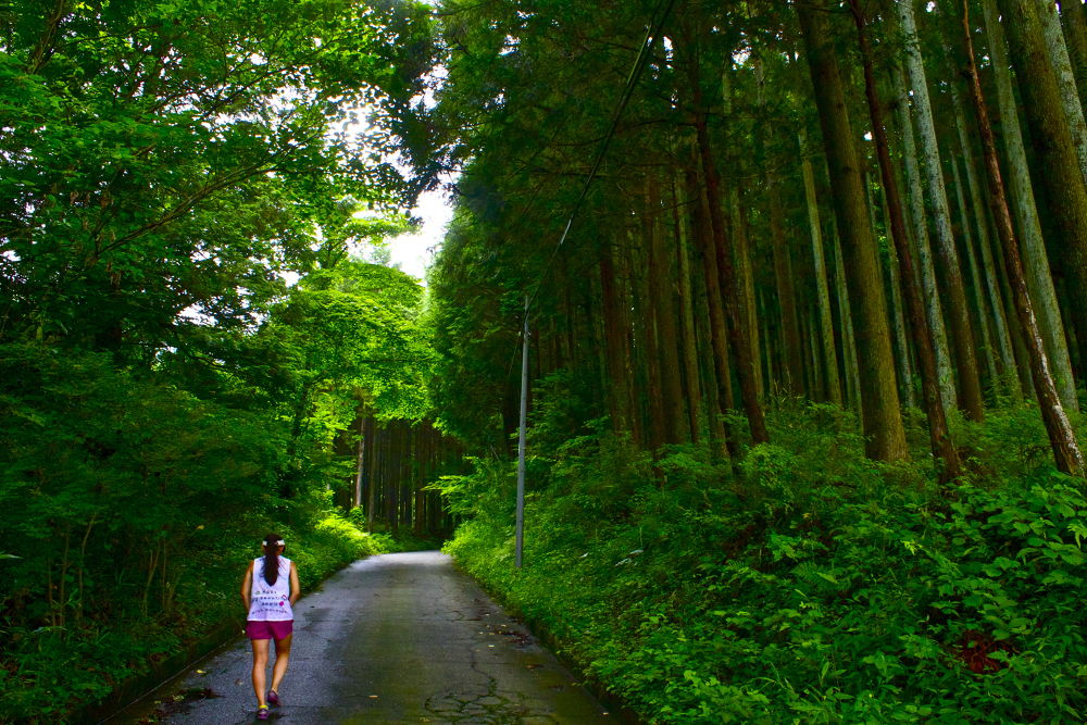 秦野の名水・葛葉の泉に水を汲みに行こう！の写真7