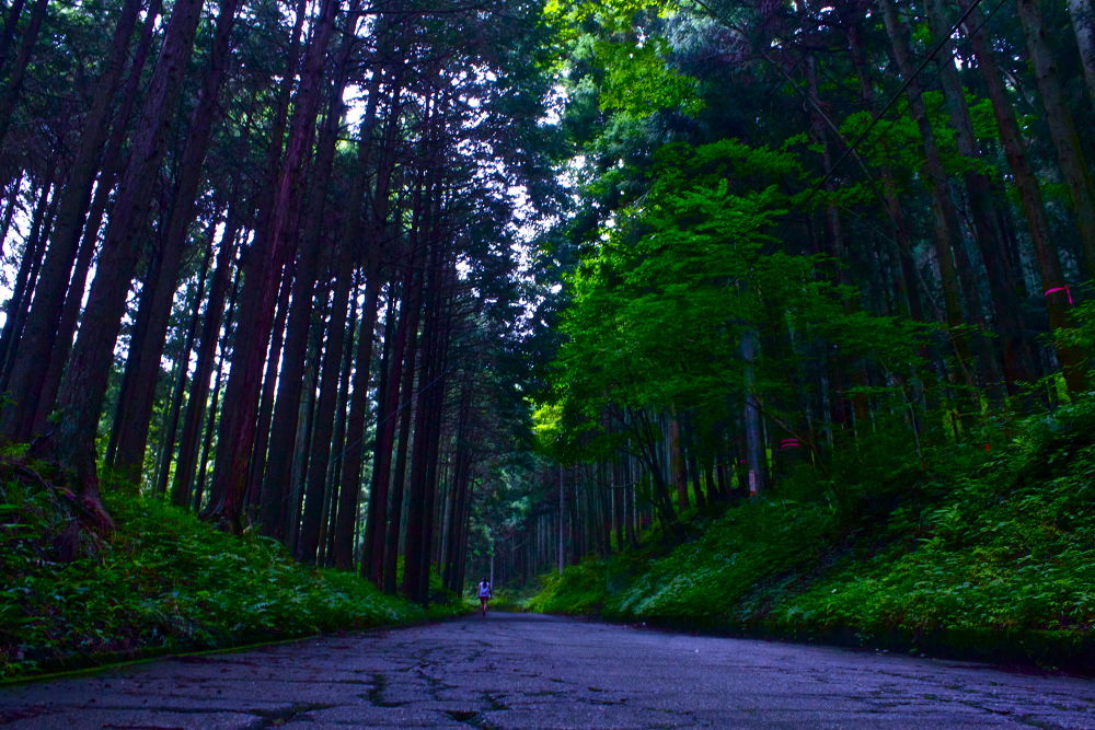 秦野の名水・葛葉の泉に水を汲みに行こう！の写真9