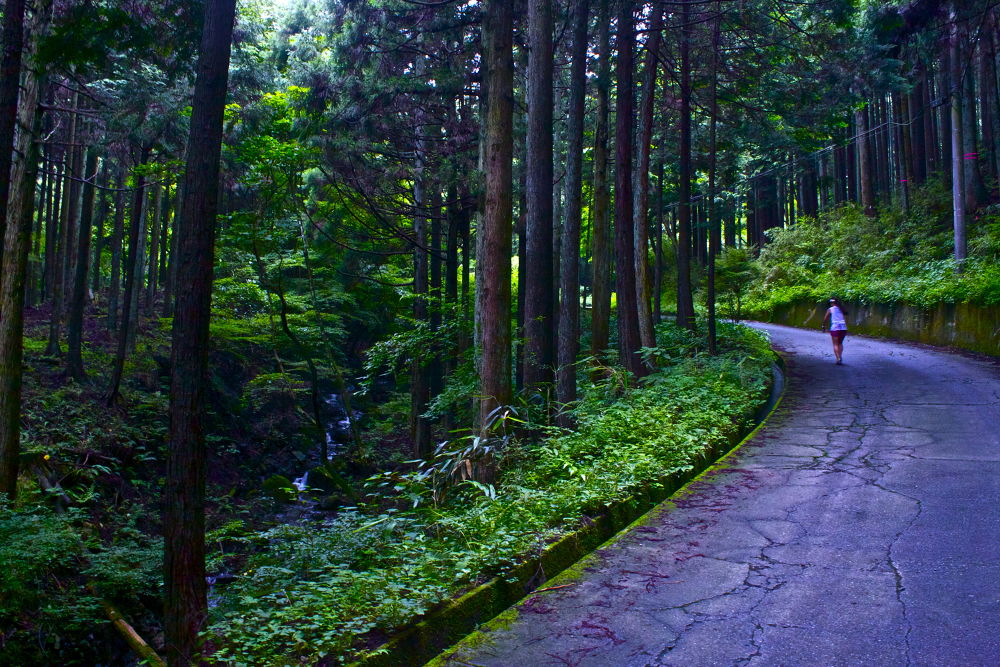 秦野の名水・葛葉の泉に水を汲みに行こう！の写真10