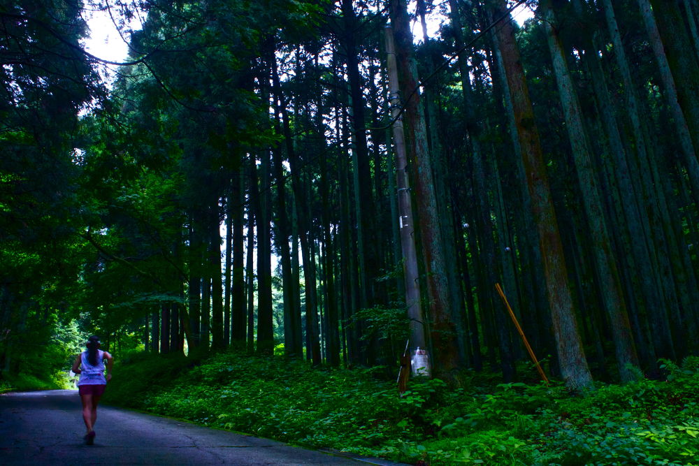 秦野の名水・葛葉の泉に水を汲みに行こう！の写真11