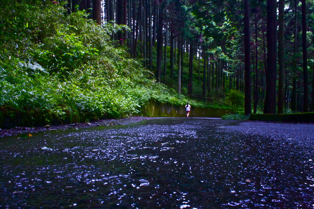 秦野の名水・葛葉の泉に水を汲みに行こう！の写真12