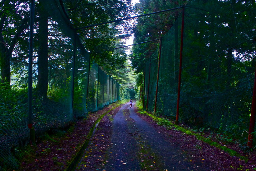 秦野の名水・葛葉の泉に水を汲みに行こう！の写真13