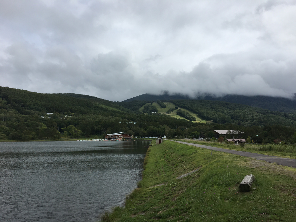 白樺湖から女神湖、雨境峠を経て蓼科第二牧場往復の写真7