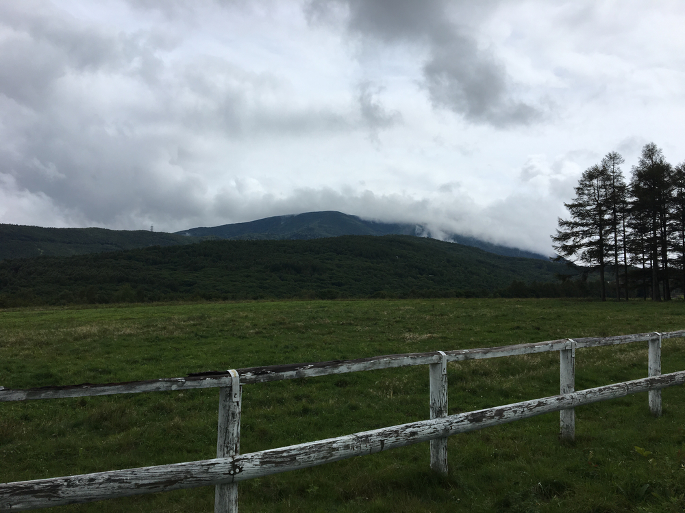 白樺湖から女神湖、雨境峠を経て蓼科第二牧場往復の写真10