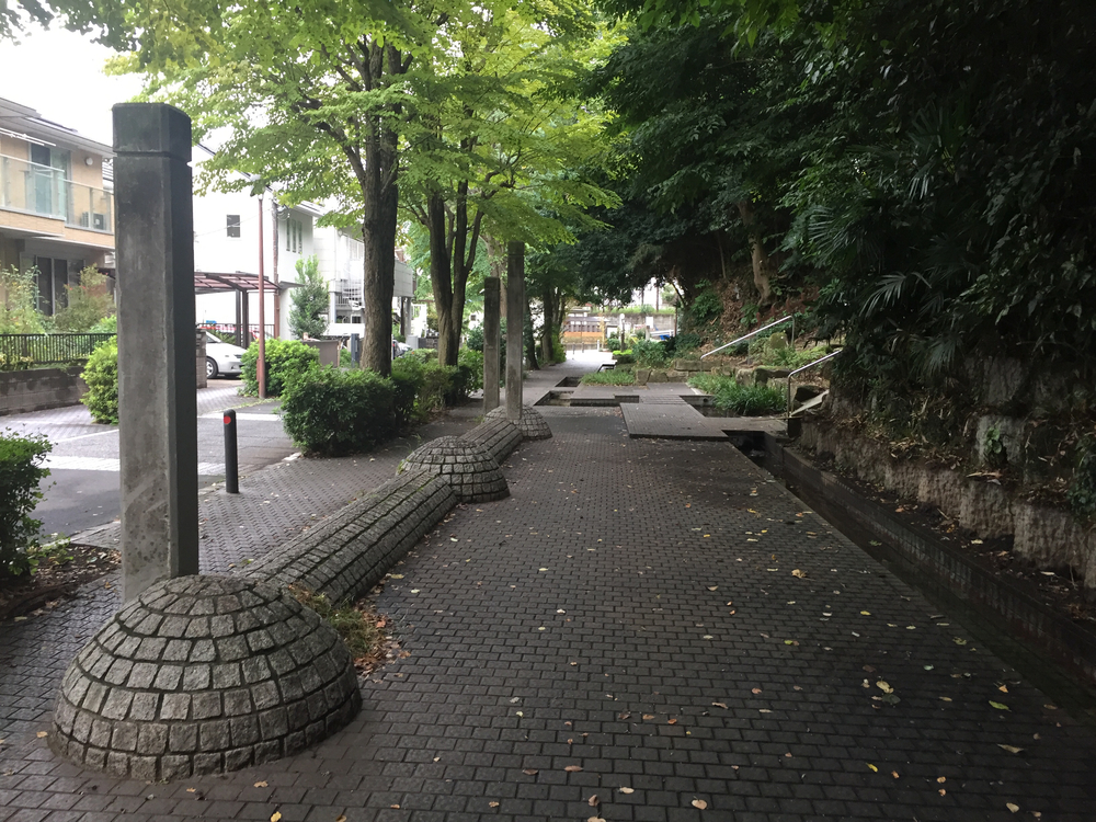 せせらぎ緑道ランの写真3