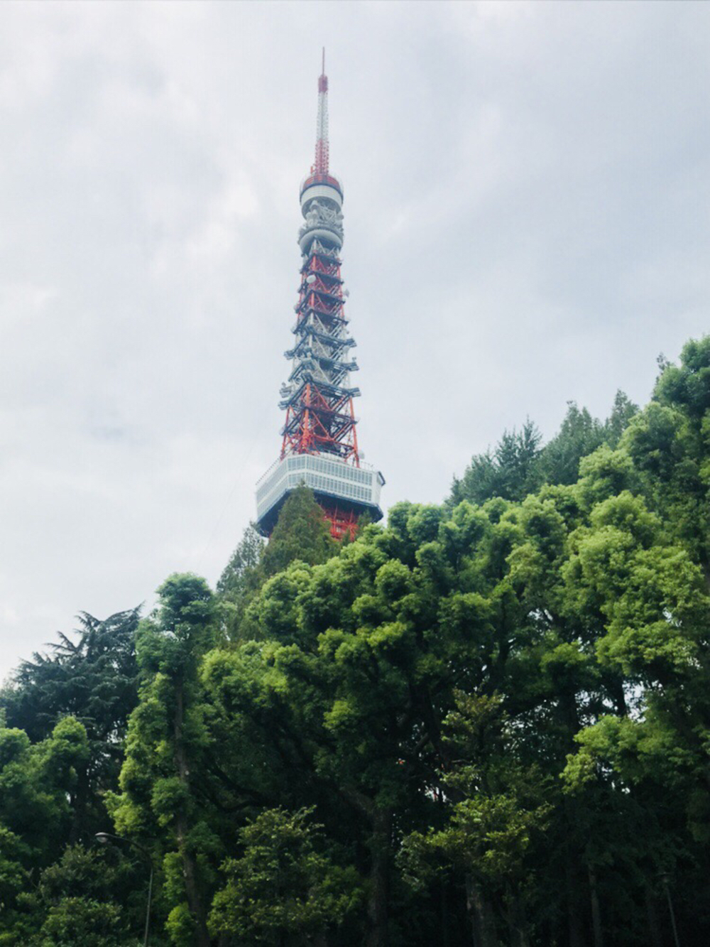 二大ミッドタウンと晴海埠頭の写真5