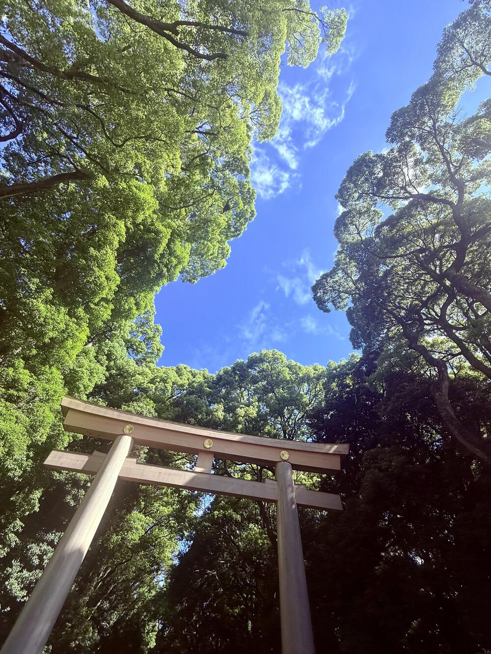 𓂃🌿𓈒𓏸浄化と感謝が満ちた𝐫𝐮𝐧𝐧𝐢𝐧𝐠の写真3