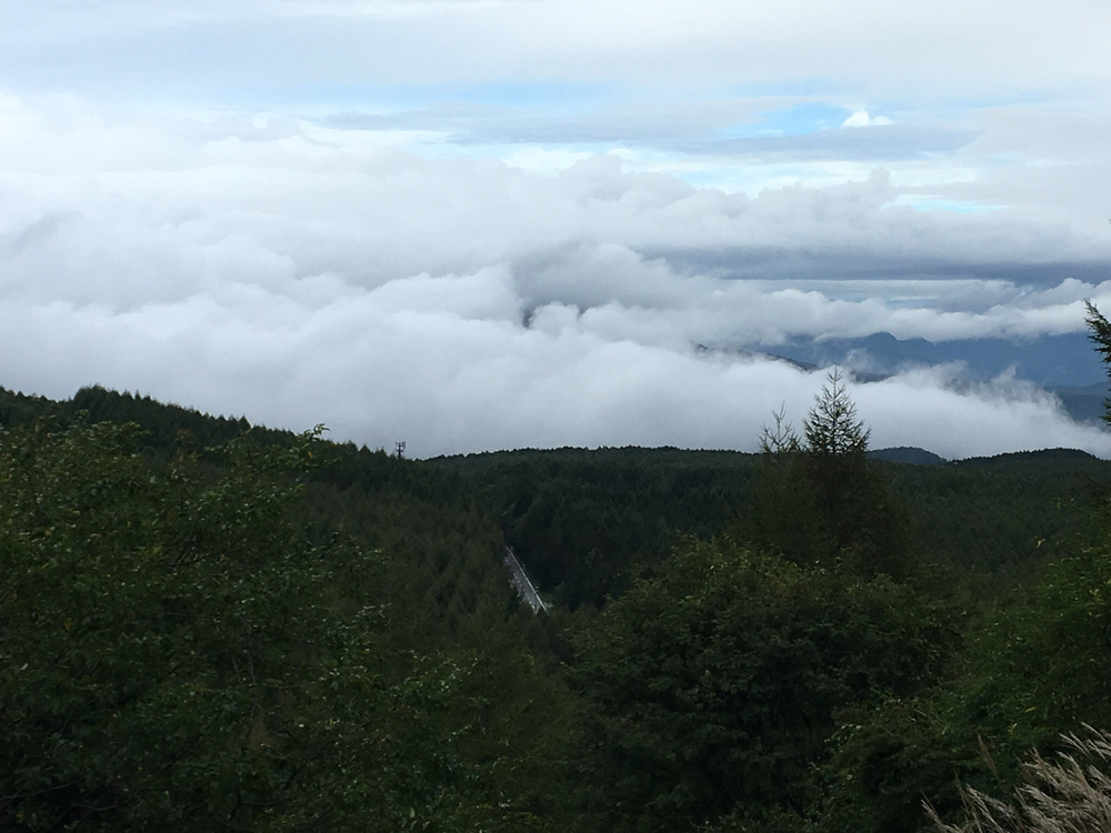 白樺湖からススズラ峠へ 340m を登るの写真3