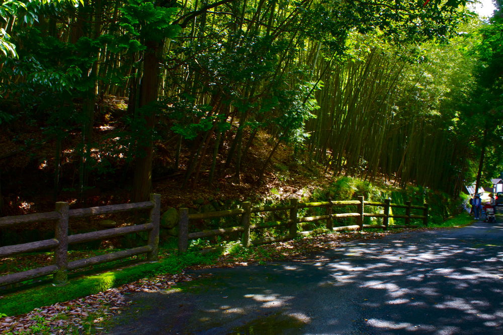 志賀峠を越えて京都・哲学の道と南禅寺へ。の写真3