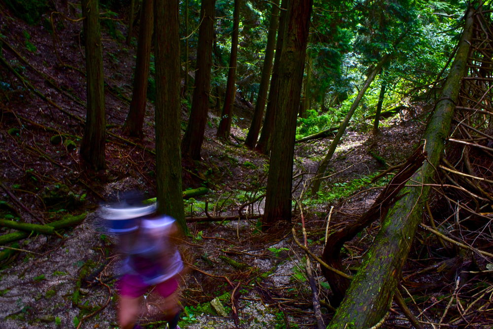 志賀峠を越えて京都・哲学の道と南禅寺へ。の写真4