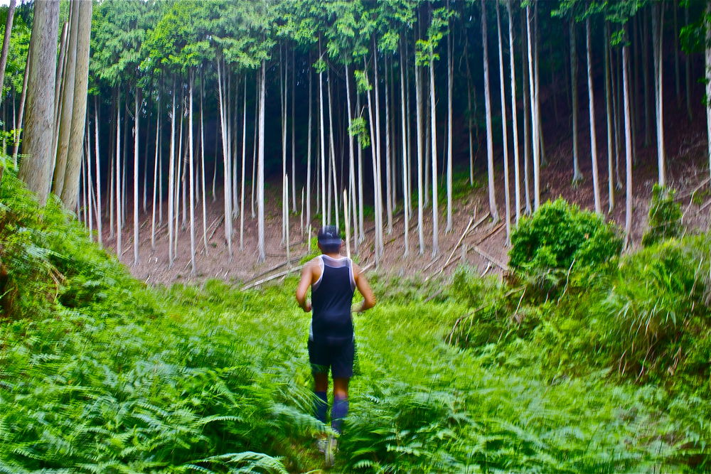 志賀峠を越えて京都・哲学の道と南禅寺へ。の写真5