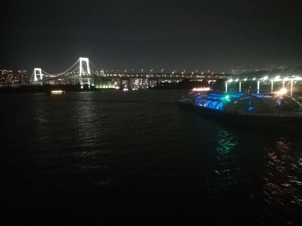 TOKYO NIGHT VIEW RUNNINGの写真3