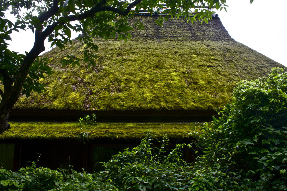日本の原風景・京都・美山町・かやぶきの里の写真6