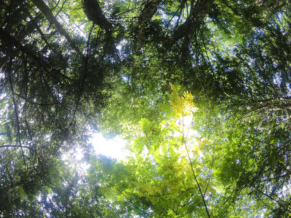 おしゃれ山荘の手作りプリンを目指す　上高地クロカンジョグの写真7