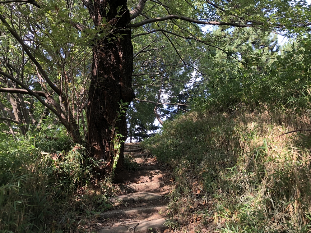 ビーチ、クロカン、朝マックでお台場ラントリップ を極める7kmの写真7