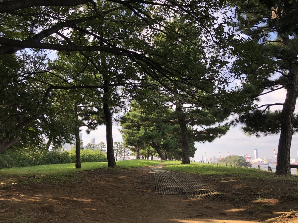 ビーチ、クロカン、朝マックでお台場ラントリップ を極める7kmの写真8