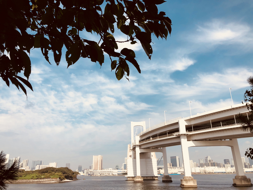 ビーチ、クロカン、朝マックでお台場ラントリップ を極める7kmの写真9