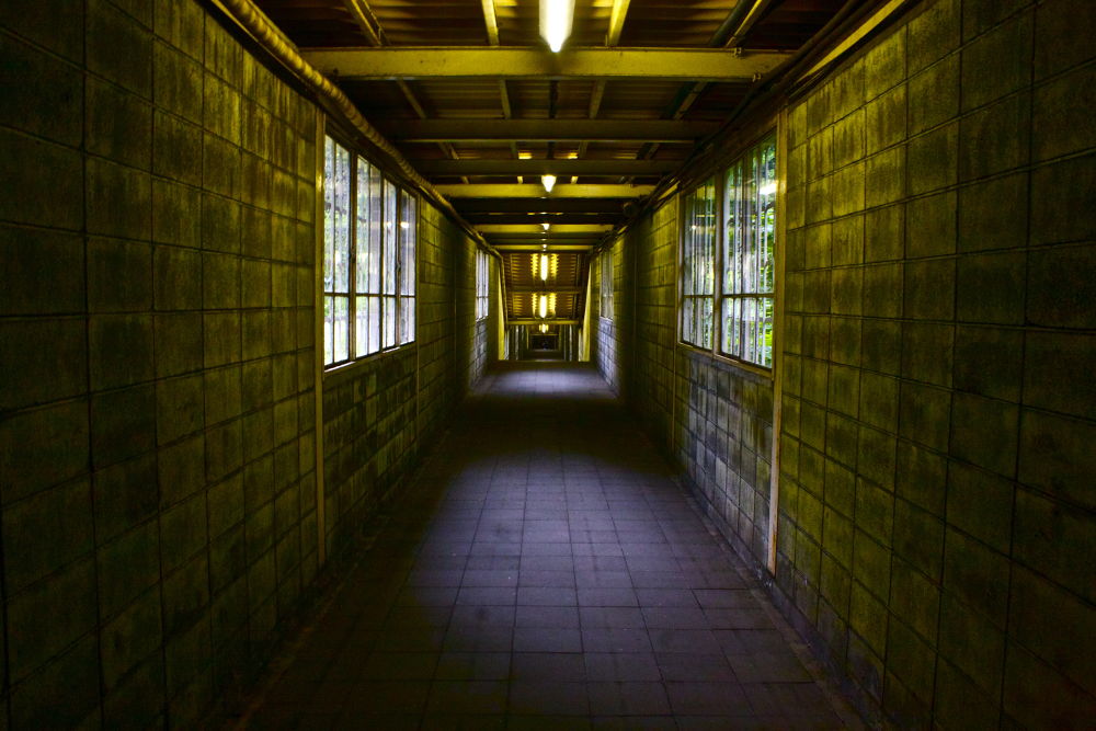 秘境！日本一のモグラ駅土合駅と湯吹きの滝の写真7