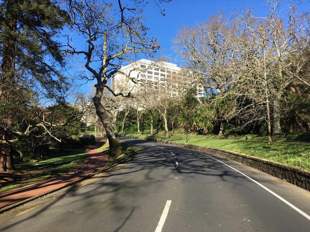 オークランド出張ラン  アルバートパーク、オークランドドメイン縦断コースの写真4