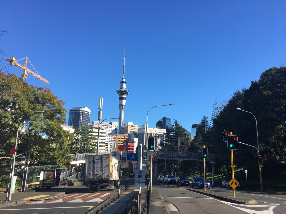 オークランド出張ラン  アルバートパーク、オークランドドメイン縦断コースの写真7