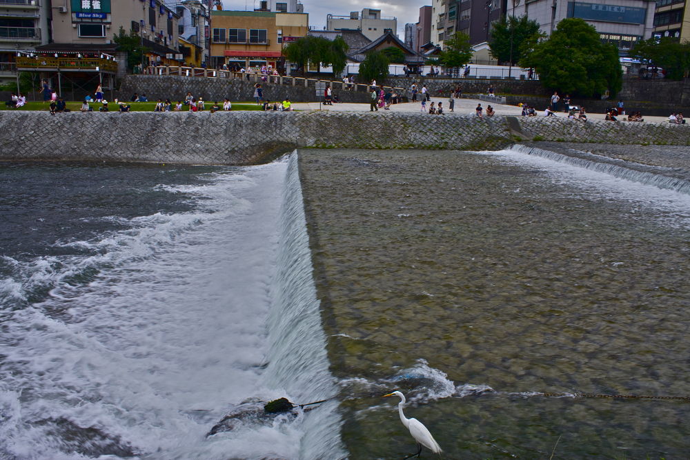 京都・鴨川の奥の奥の奥ゆかしさの写真3
