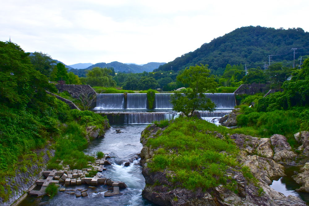 京都・鴨川の奥の奥の奥ゆかしさの写真7