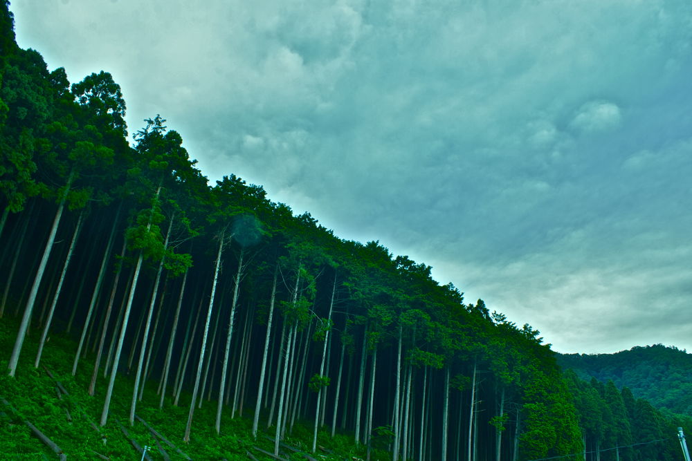 京都・鴨川の奥の奥の奥ゆかしさの写真8