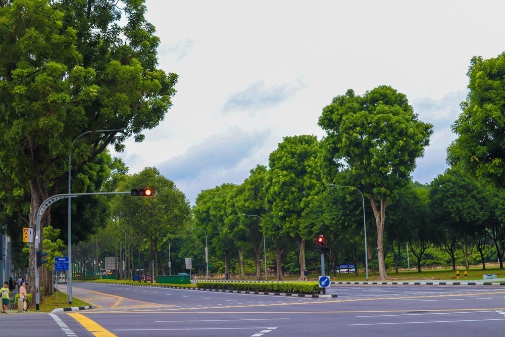 【シンガポールRuntrip】アラブストリートとリトルインディアをゆったり堪能！ の写真8