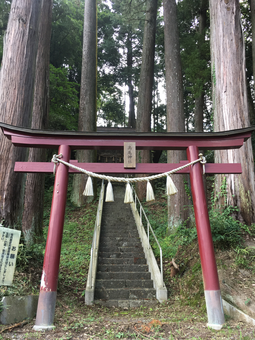 裏山シックスの写真6