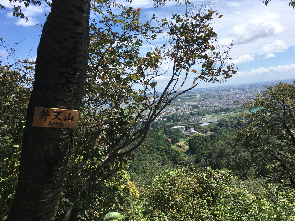 裏山シックスの写真7