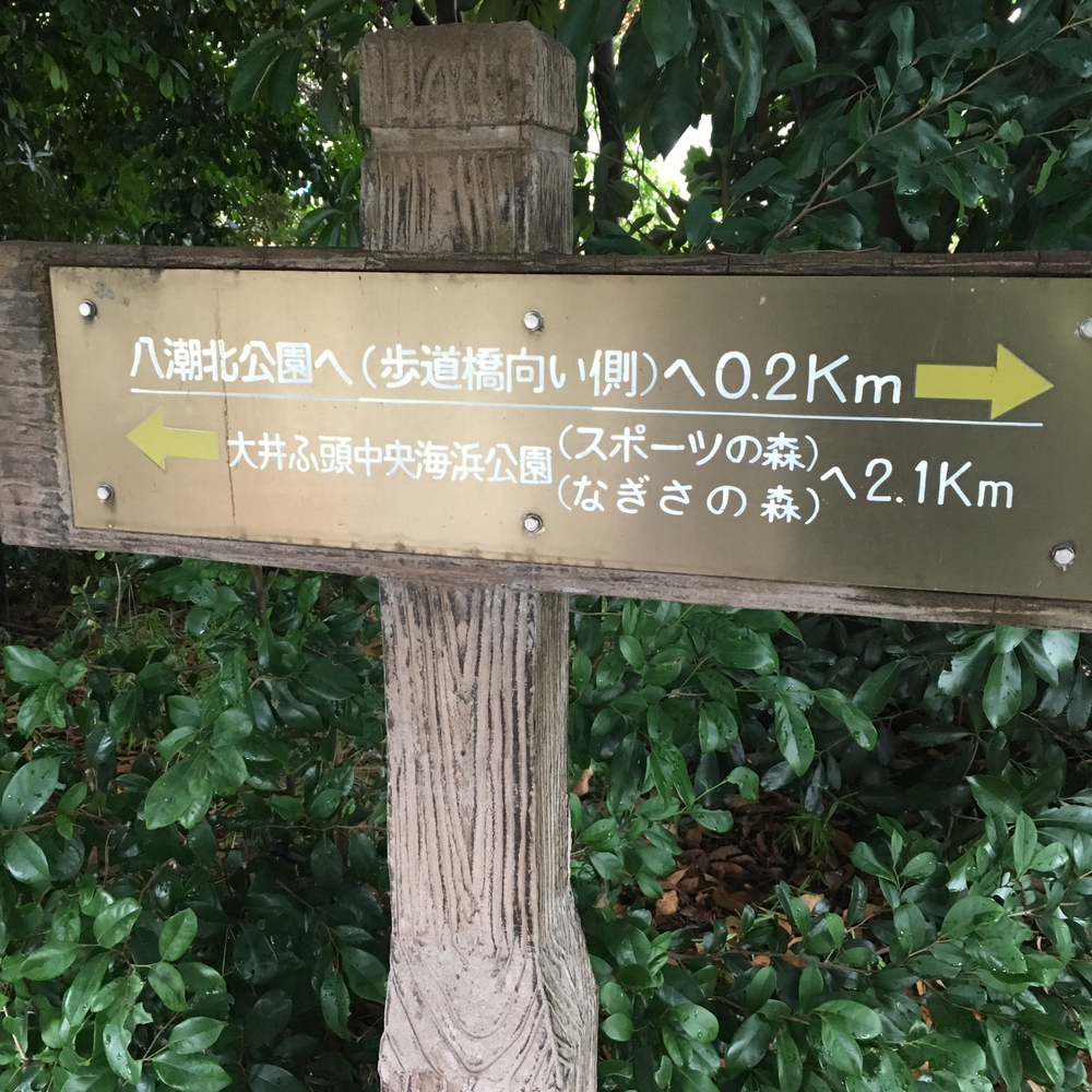 大井埠頭ぐるっと一周。の写真3