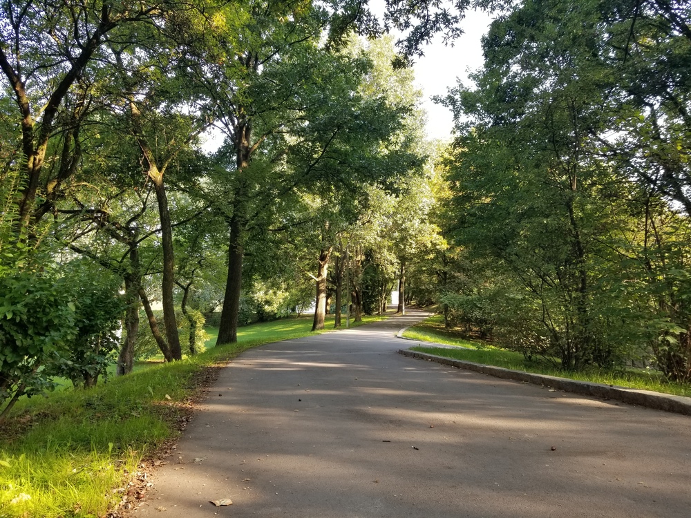 ドナウ川沿いに開けたリンツの街の写真7
