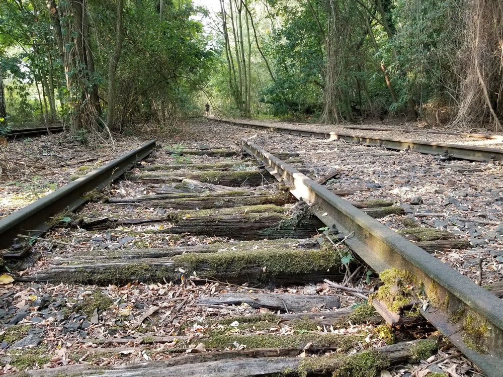 ベルリンの鉄道操車場跡地の公園を行くの写真4