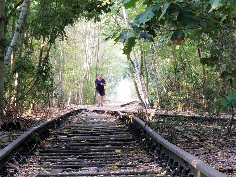 ベルリンの鉄道操車場跡地の公園を行くの写真5