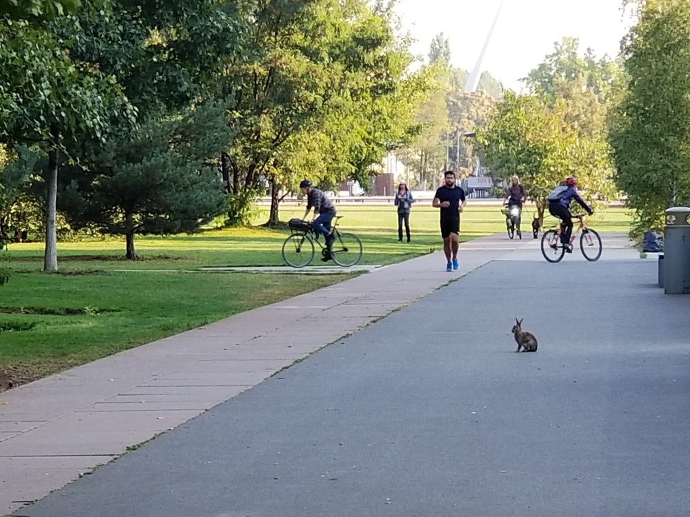 ベルリンの鉄道操車場跡地の公園を行くの写真9